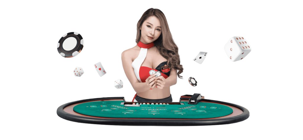 312bet 312bet
