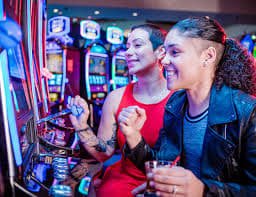 312bet 312bet
